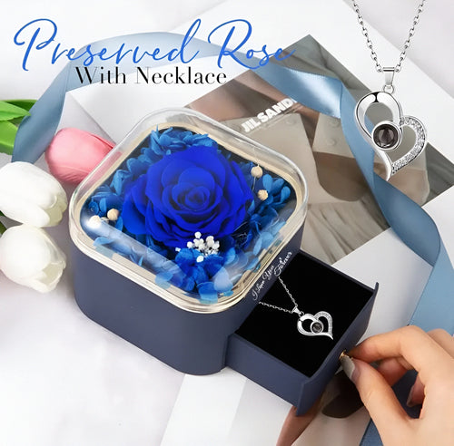 Eternal Rose With Silver I Love You Necklace – 100 Languages