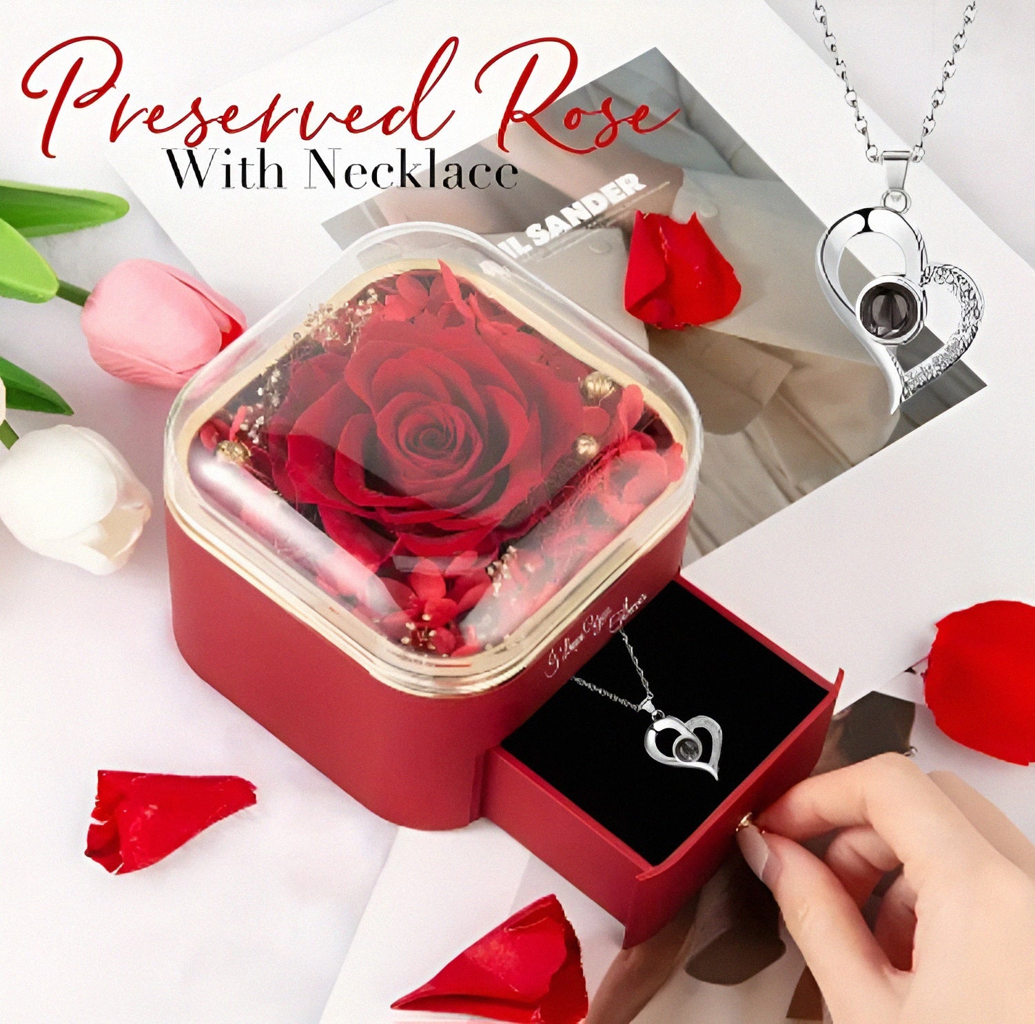 Eternal Rose With Silver I Love You Necklace – 100 Languages