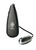 Bullet Personal Massager – Silver